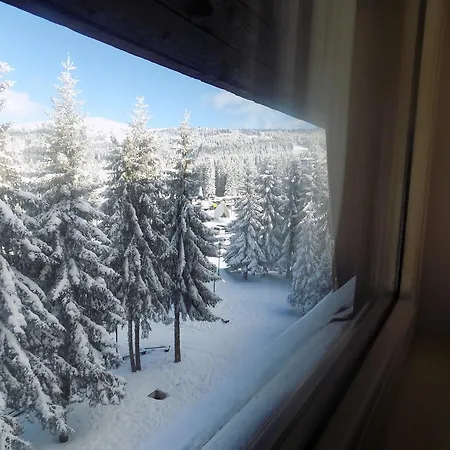 Apartment Sofia-konaci Kopaonik